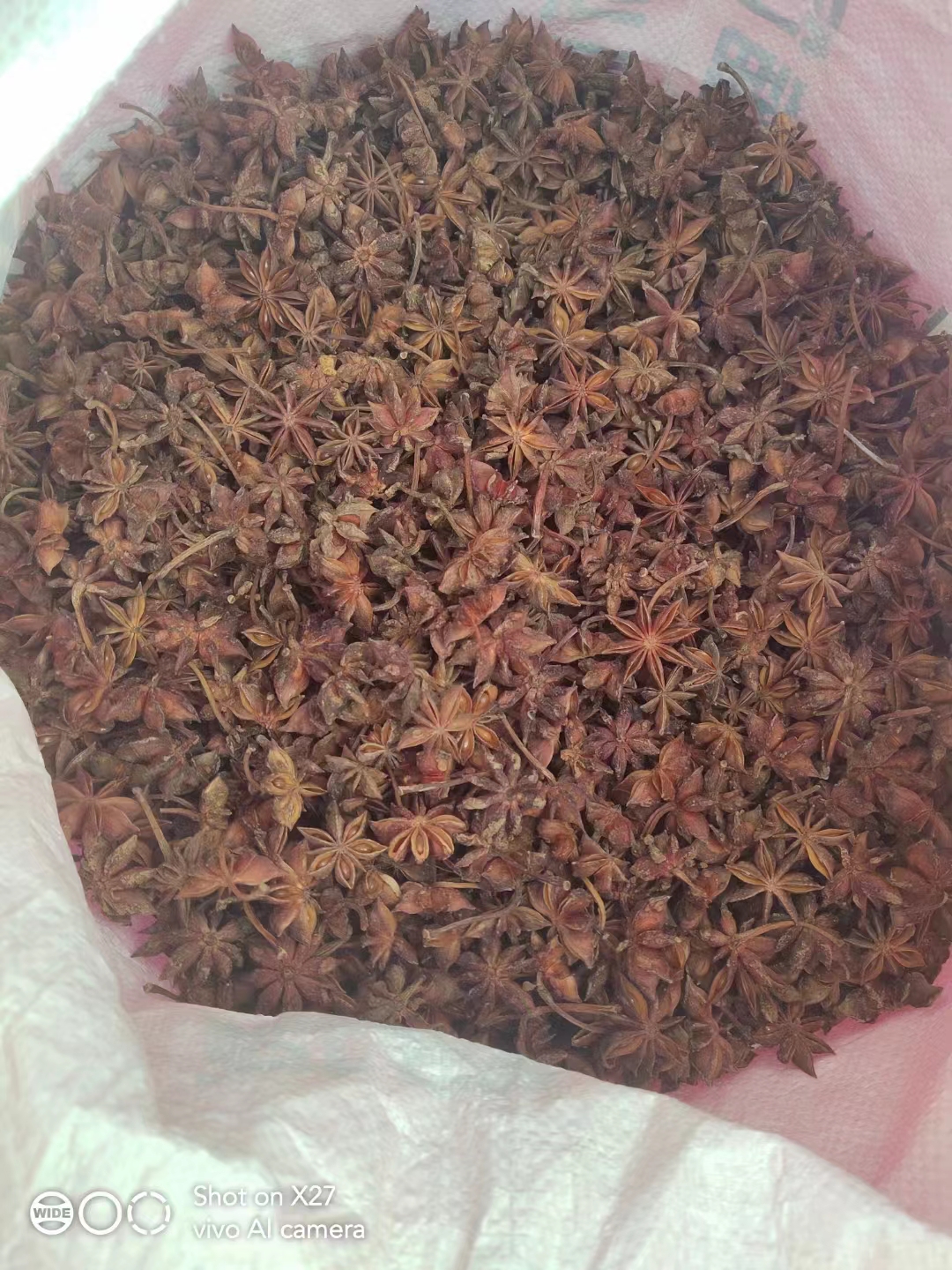 富寧八角