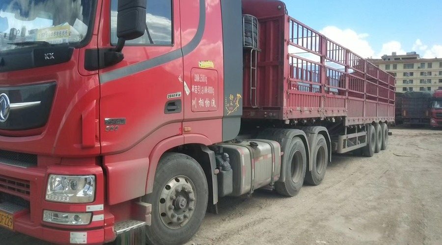 臨滄到西寧整車運輸案例展示