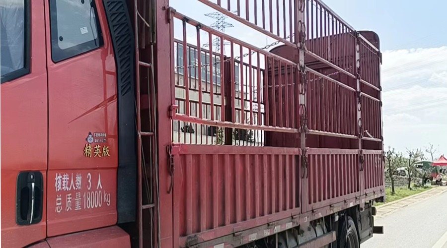 楚雄到成都整車運輸案例展示