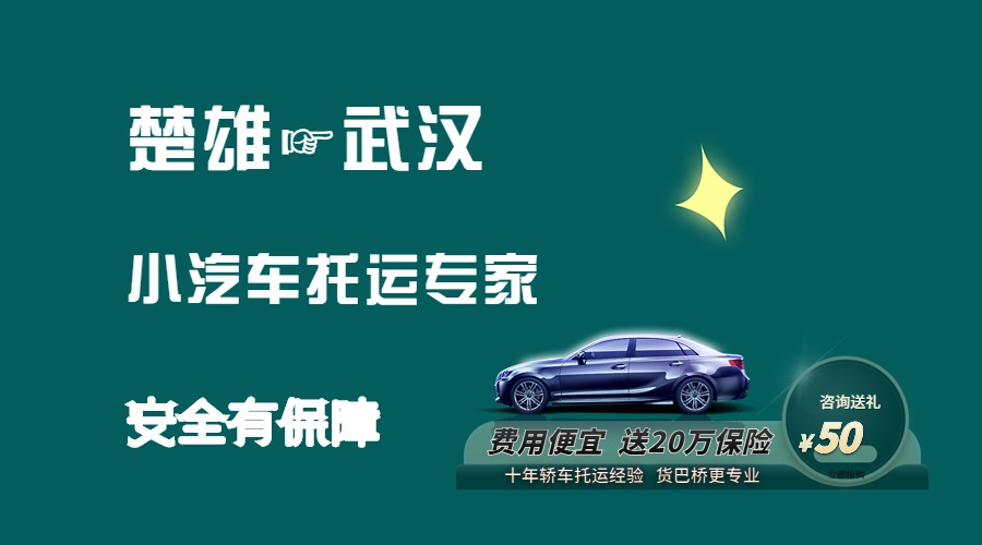 楚雄到武漢轎車托運