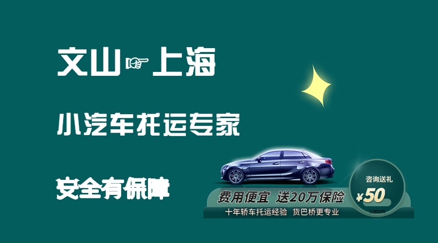 文山到上海轎車托運
