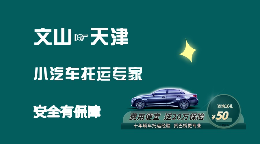 文山到天津轎車托運