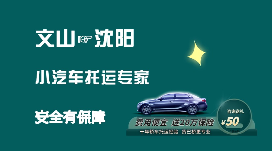 文山到沈陽轎車托運