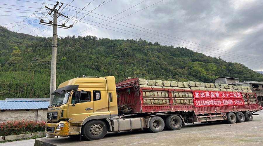 中藥材整車運輸 (1)